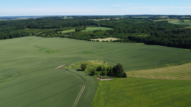 Działka Sprzedaż Wysoka Dąbrowa 1