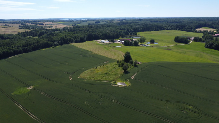 Działka Sprzedaż Wysoka Dąbrowa 4