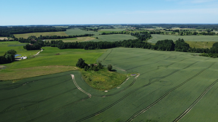 Działka Sprzedaż Wysoka Dąbrowa 5