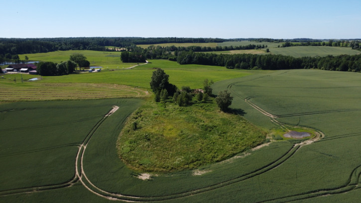 Działka Sprzedaż Wysoka Dąbrowa 7