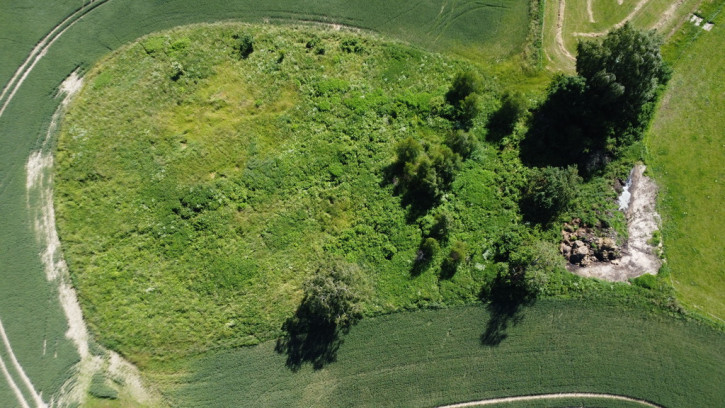 Działka Sprzedaż Wysoka Dąbrowa 8