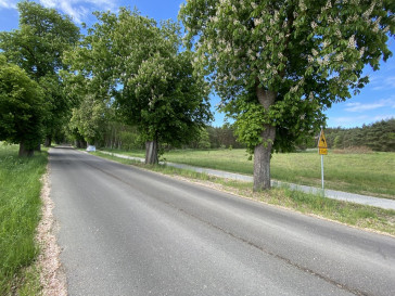Działka Sprzedaż Buk