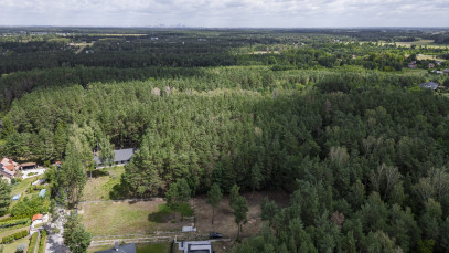Działka Sprzedaż Mieszkowo Graniczna