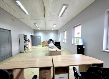 Lokal Wynajem Rzeszów Zawiszy Czarnego