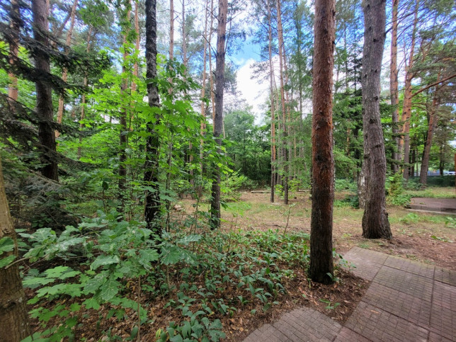 Dom Sprzedaż Rozpłucie Pierwsze 18