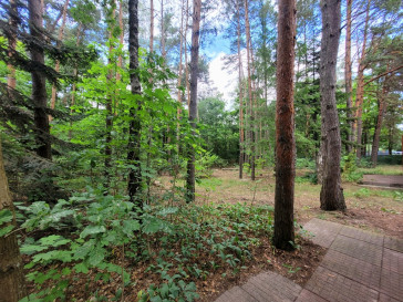Dom Sprzedaż Rozpłucie Pierwsze