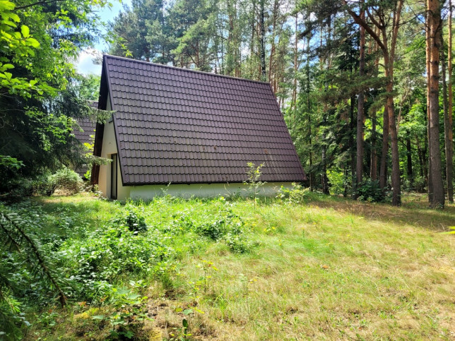 Dom Sprzedaż Rozpłucie Pierwsze 20