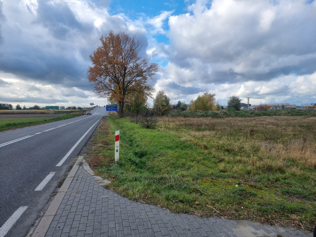 Działka Sprzedaż Pełczyska 2