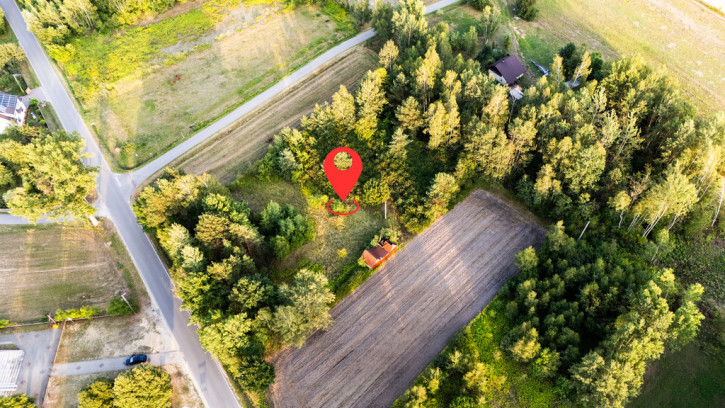 Działka Sprzedaż Majdan Golczański 1