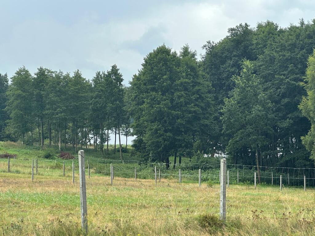 Działka Sprzedaż Głęboczek