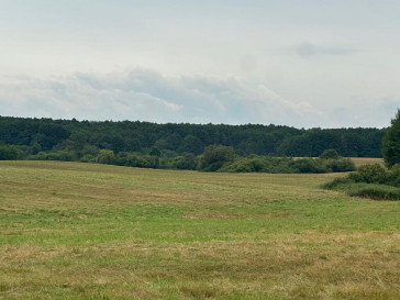 Działka Sprzedaż Głęboczek