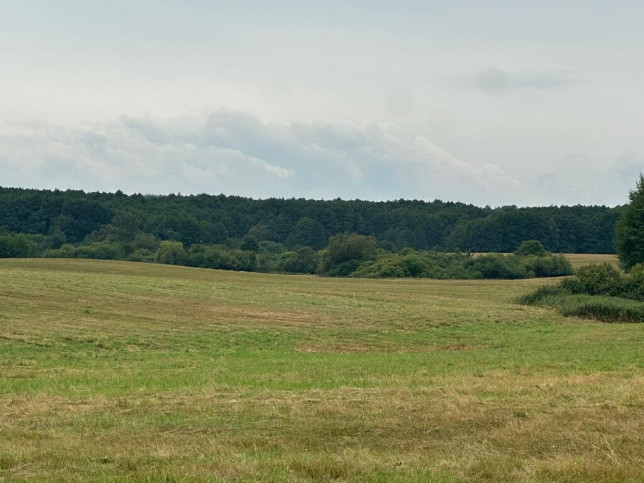 Działka Sprzedaż Głęboczek 4