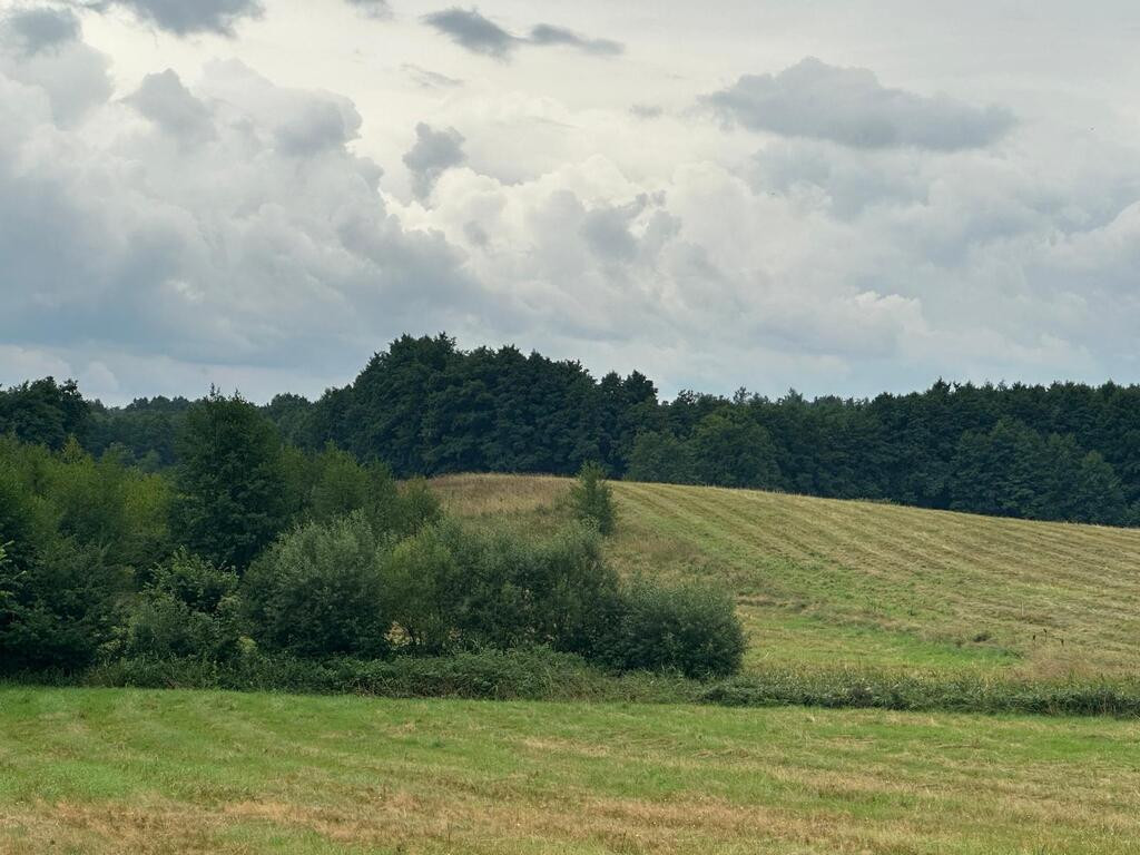 Działka Sprzedaż Głęboczek