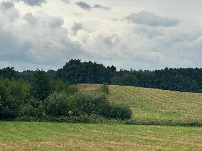 Działka Sprzedaż Głęboczek 5
