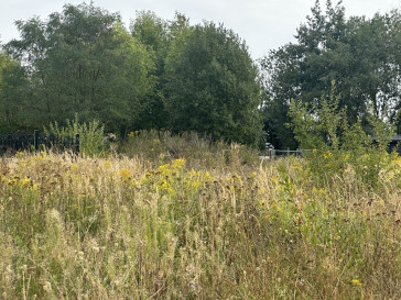 Działka Sprzedaż Szczecin Stołczyn