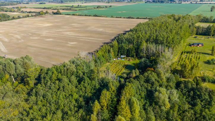 Działka Sprzedaż Wełtyń 14