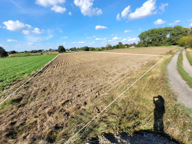 Działka Sprzedaż Jawidz 4