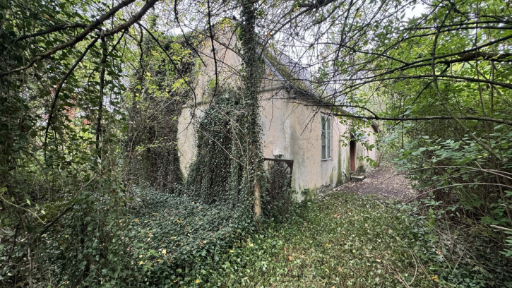 Działka Sprzedaż Kurów 4