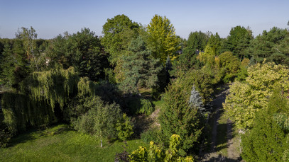 Działka Sprzedaż Dobrzyń Prosta
