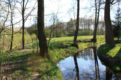 Obiekt Sprzedaż Świdwin