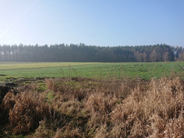 Obiekt Sprzedaż Raduń