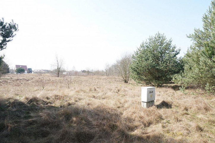 Działka Sprzedaż Rurzyca 1