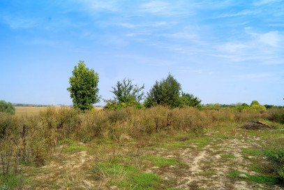 Działka Sprzedaż Kamieniec