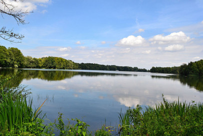 Działka Sprzedaż Czaplinek