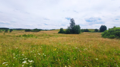 Działka Sprzedaż Derc