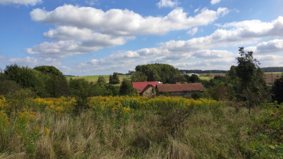 Działka Sprzedaż Mokiny