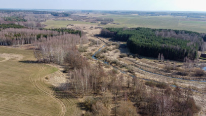 Działka Sprzedaż Bażyny