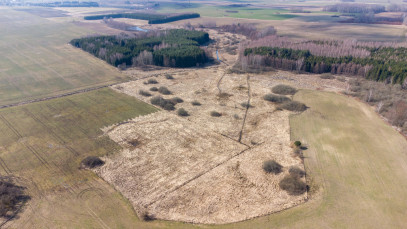 Działka Sprzedaż Bażyny