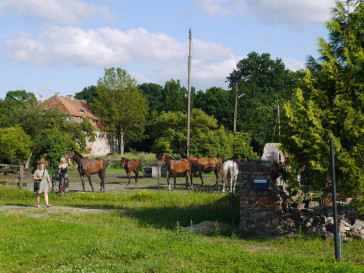 Obiekt Sprzedaż Sulimierz