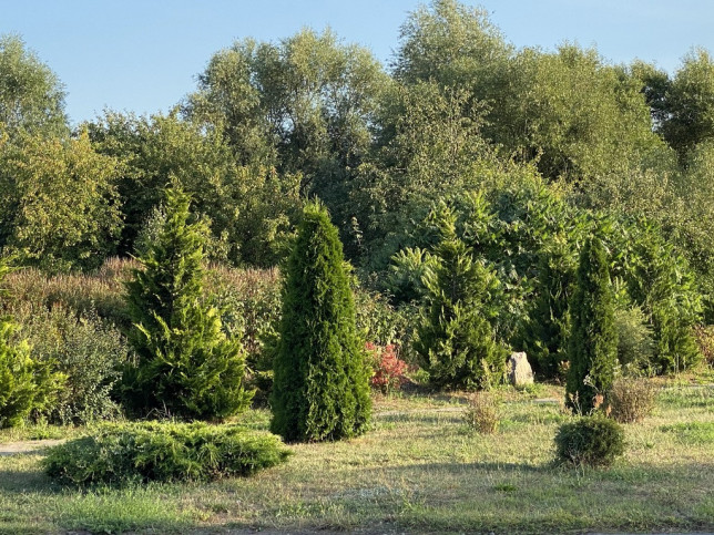 Działka Sprzedaż Runowo Pomorskie 8