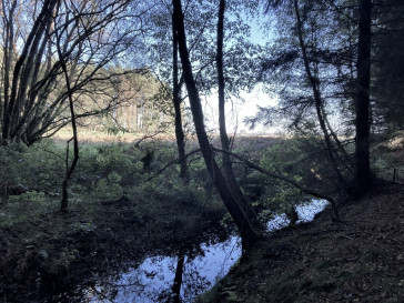 Działka Sprzedaż Krzepocin