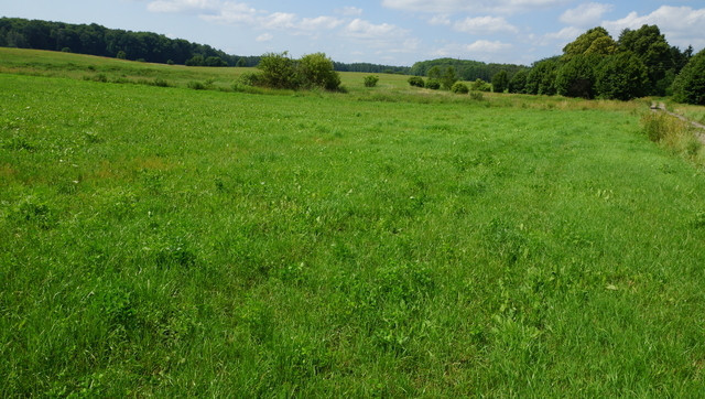 Działka Sprzedaż Bobolice 10