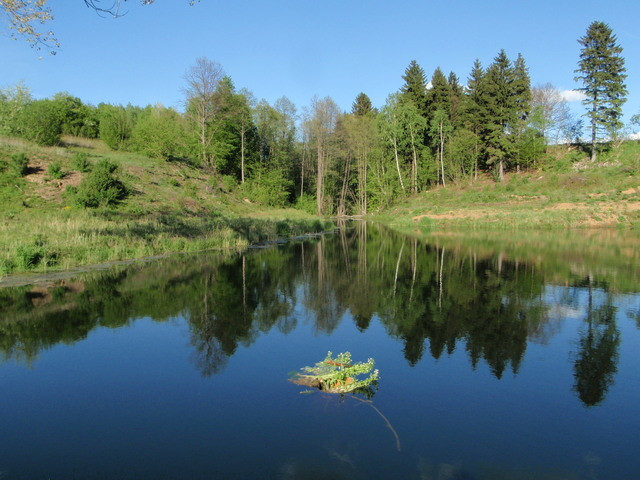 Działka Sprzedaż Bobolice 5