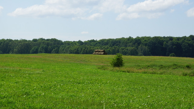 Działka Sprzedaż Bobolice 7