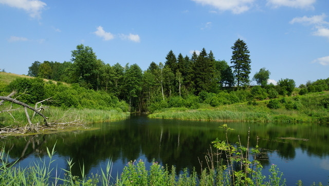 Działka Sprzedaż Bobolice 15