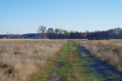 Działka Sprzedaż Niedźwiedź