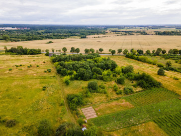 Działka Sprzedaż Szczecinek