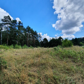 Działka Sprzedaż Stare Osieczno