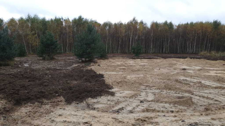 Działka Sprzedaż Borzyszewo 1