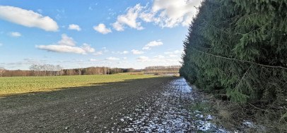 Działka Sprzedaż Bażyny