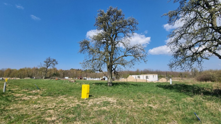 Działka Sprzedaż Szczecin Skolwin 2