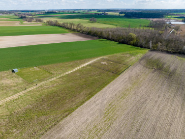 Działka Sprzedaż Żabno