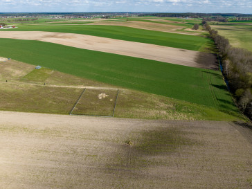 Działka Sprzedaż Żabno