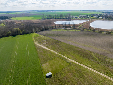 Działka Sprzedaż Żabno