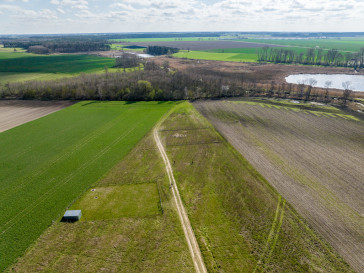 Działka Sprzedaż Żabno