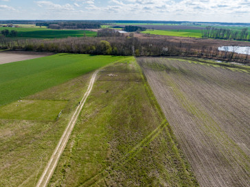 Działka Sprzedaż Żabno